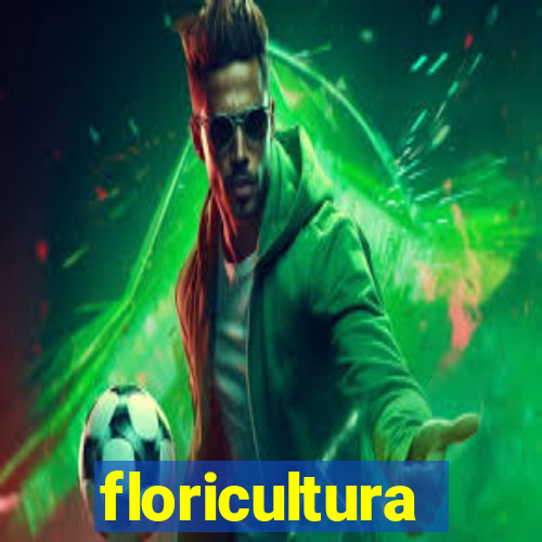floricultura juazeiro bahia